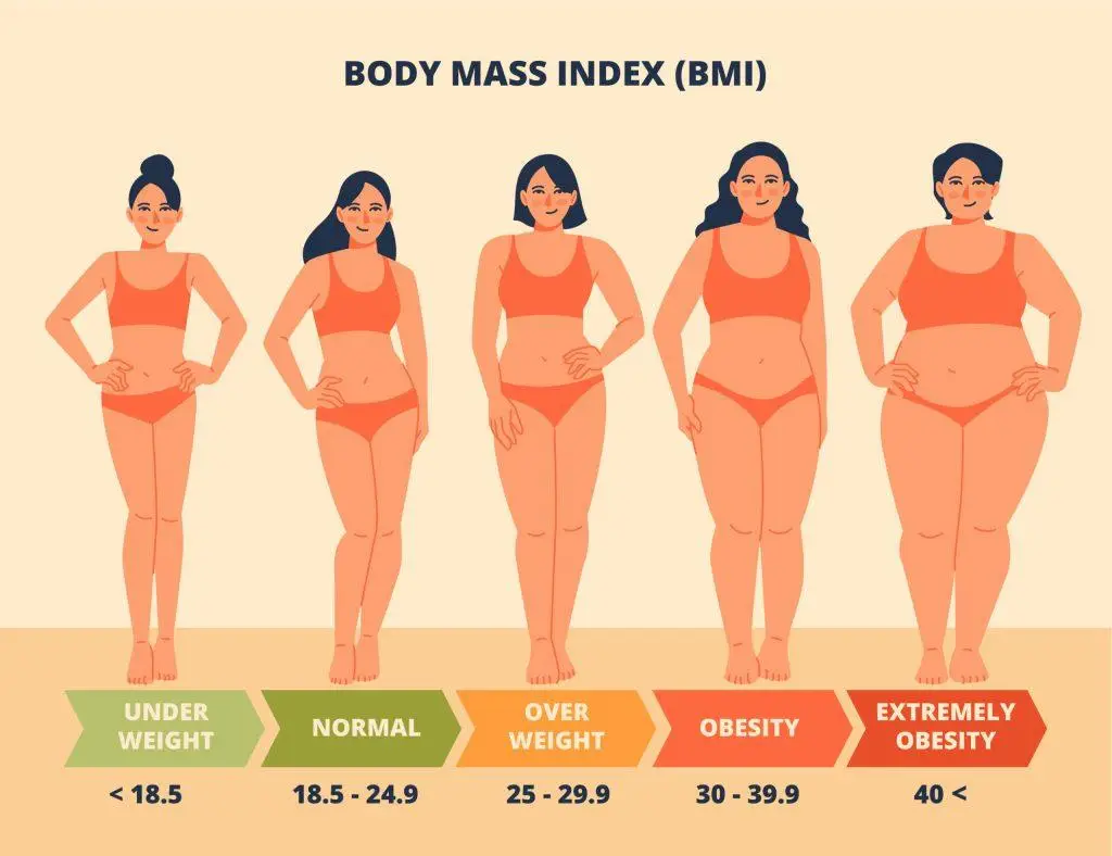 bmi model in nooran.group.com