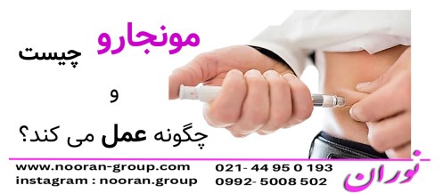 مونجارو چیست و چگونه عمل می‌کند؟