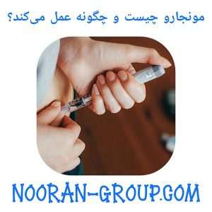 مونجارو چیست و چگونه عمل می‌کند؟